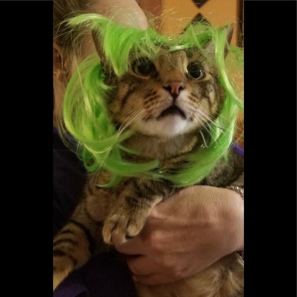 Do I look like you now maaaaa?